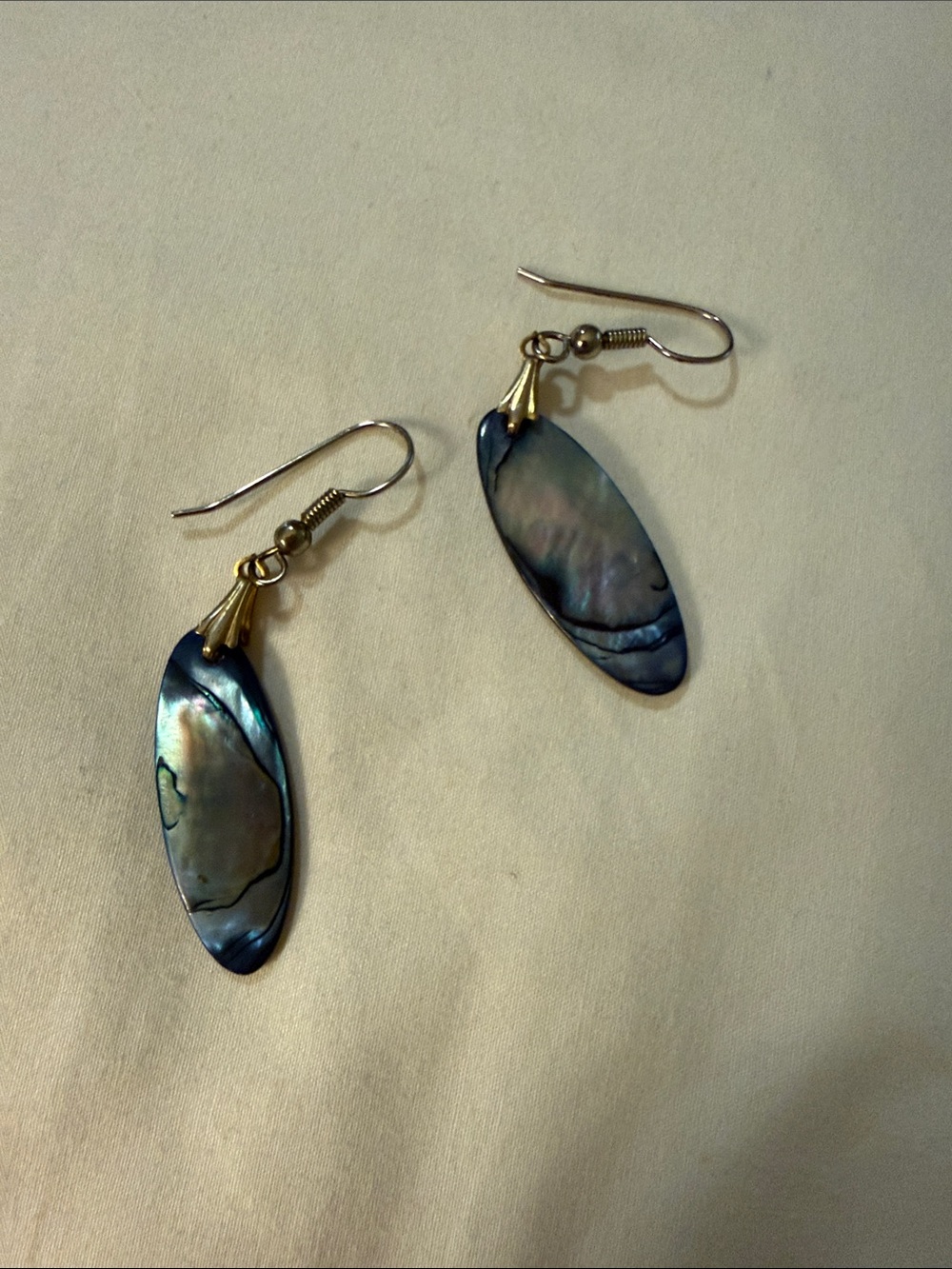 Iridescent Abalone Shell Drop Earrings - Women Jewelry
